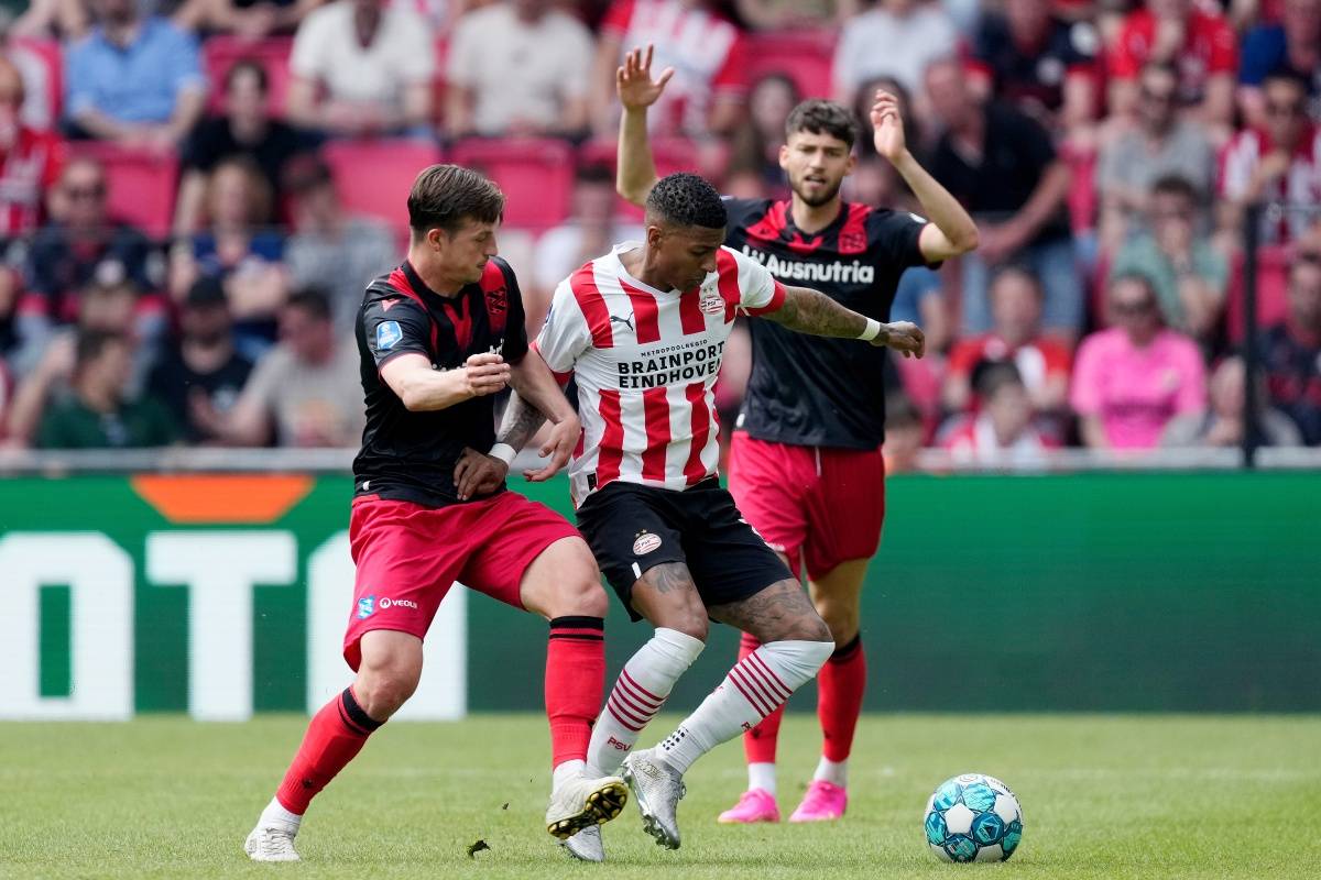 的胜利重燃 的胜利重燃