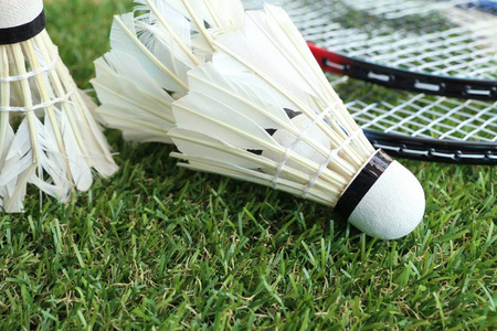 莎拉波娃的 莎拉波娃的