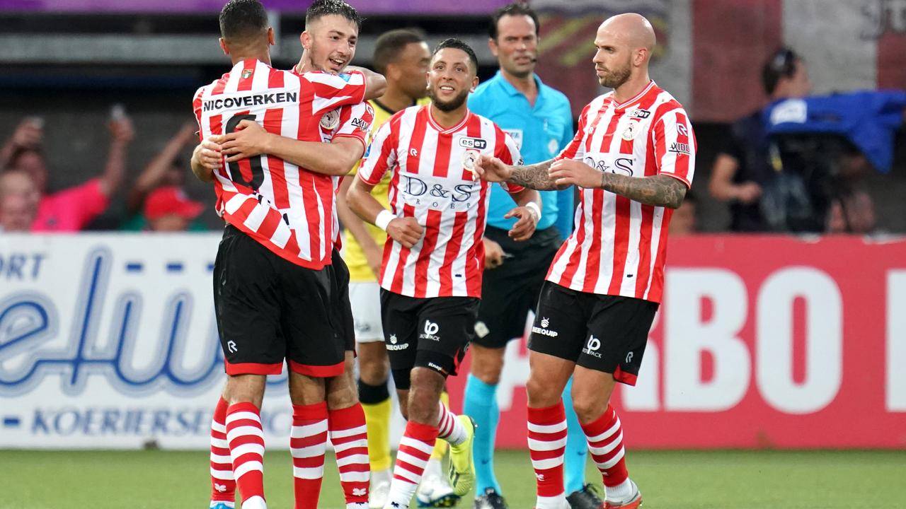 动树立了一 动树立了一