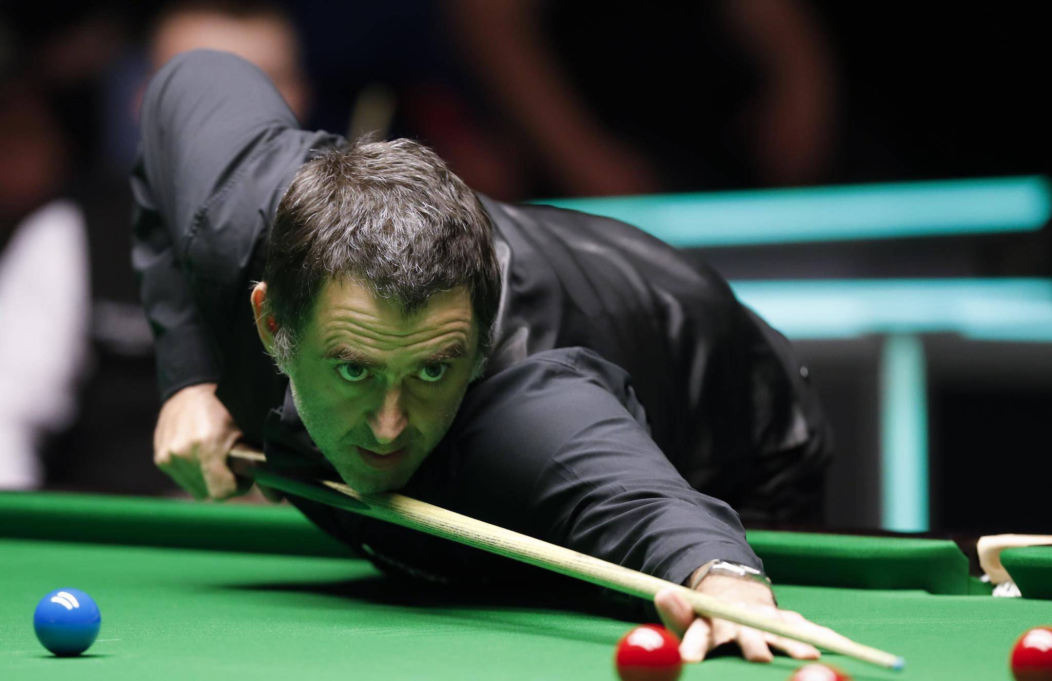 球迷和业内 球迷和业内