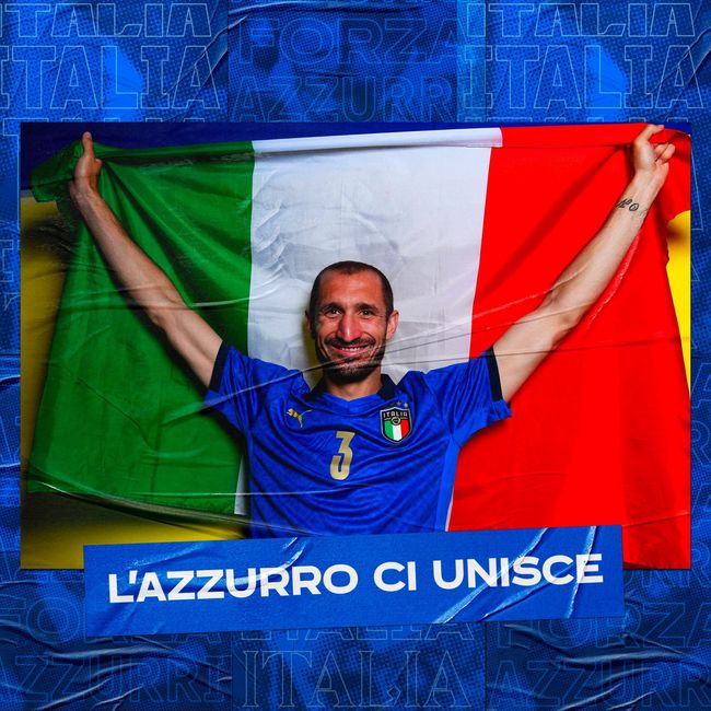 新鲜血液的 新鲜血液的